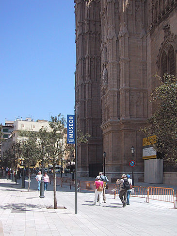 Kathedrale La Seu - Mallorca