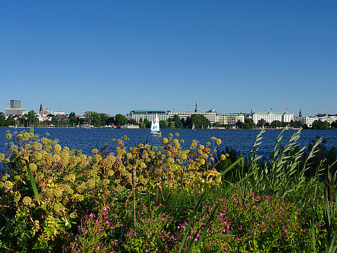 Blick nach Osten von der Außenalster - Hamburg (Hamburg)