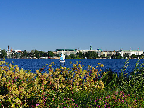 Blick nach Osten von der Außenalster - Hamburg (Hamburg)