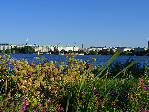 Blick nach Osten von der Außenalster - Hamburg (Hamburg)