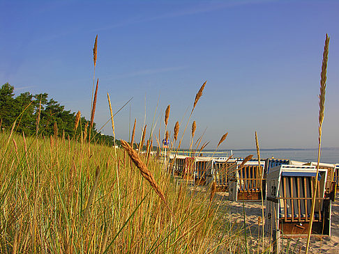 Dünen - Mecklenburg-Vorpommern (Ostseebad Binz)