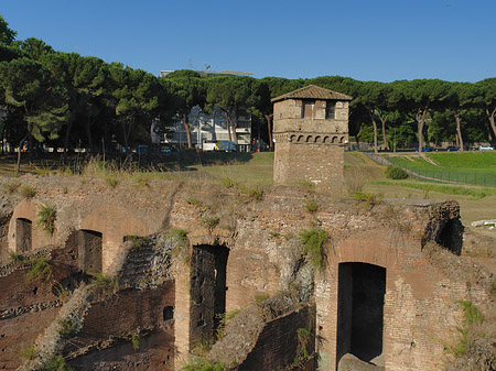 Ruine der ehemaligen Südtribüne - Latium (Rom) (Rom)