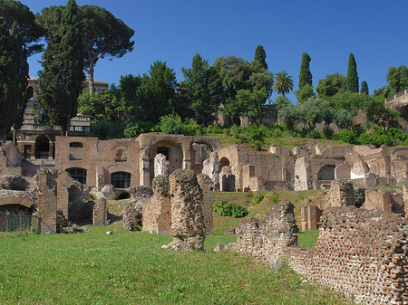 Tempel der Vesta - Latium (Rom) (Rom)