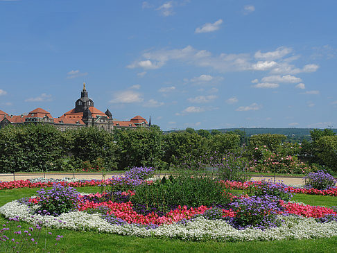 Brühlscher Garten - Sachsen (Dresden)