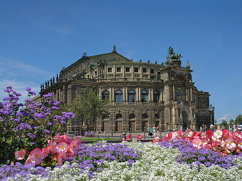 Semperoper mit Blumen - Sachsen (Dresden)