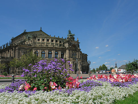 Semperoper mit Blumen - Sachsen (Dresden)