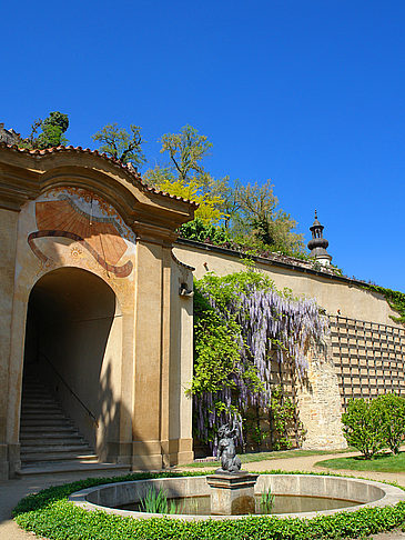 Palais Waldstein Fotos